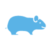 Animal Allergy Profile Home Test - Guinea pig