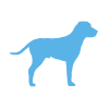 Animal Allergy Profile Home Test - Dog