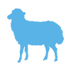 Full Allergy Profile Home Test - Lamb meat