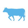 Animal Allergy Profile Home Test - Cow